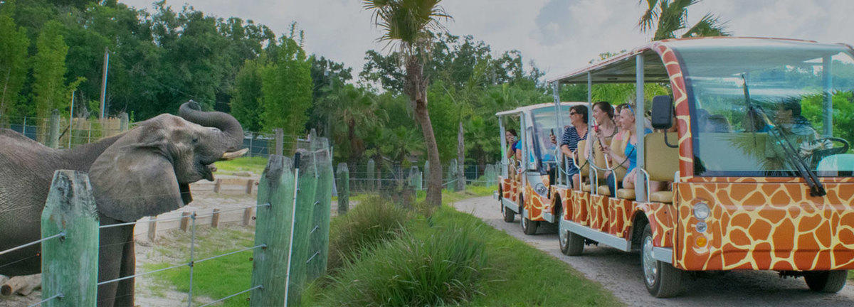 ZooTampa at Lowry Park